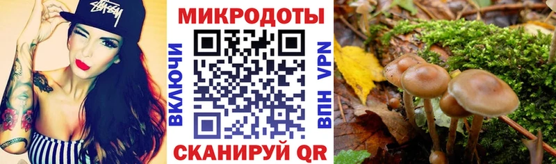 Галлюциногенные грибы Psilocybine cubensis Краснодар